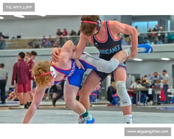 2015摔跤赛事 2018摔跤
